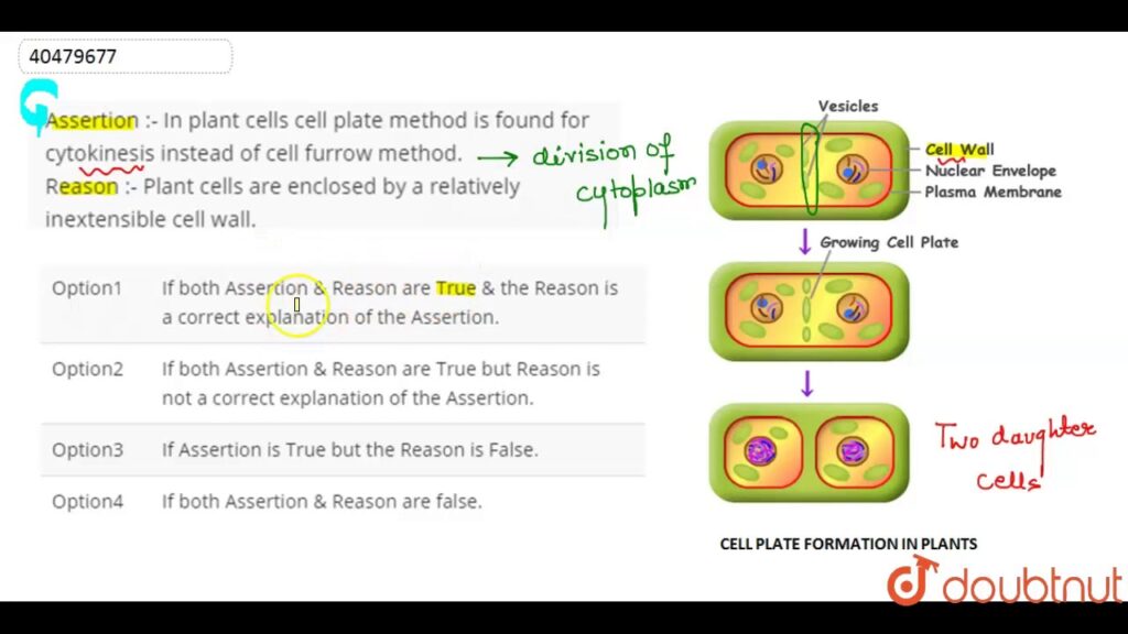 Assertion In plant cells cell plate method is found for cytokinesis