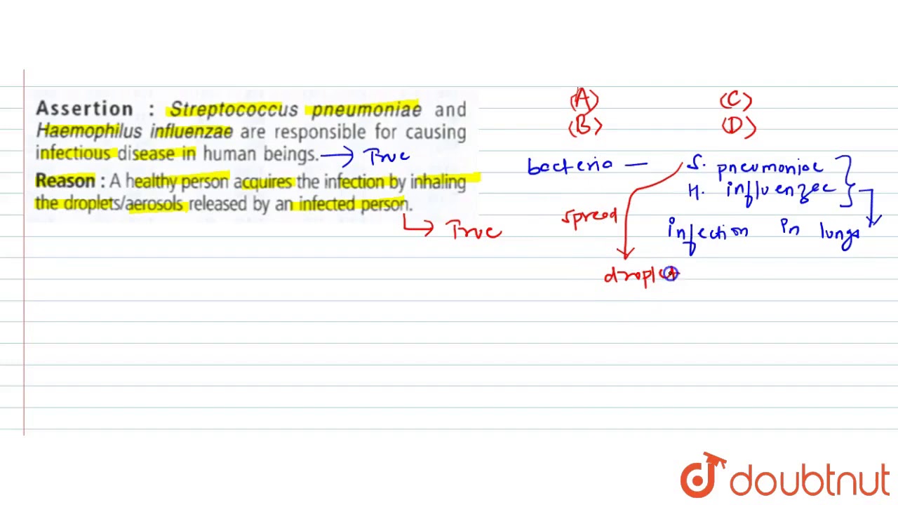 Assertion : Streptococcus Pneumoniae And Haemophilu Influenzae Are 